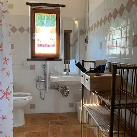 Poetic Glass House In The Countryside *