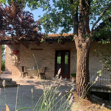 Poetic Glass House In The Countryside