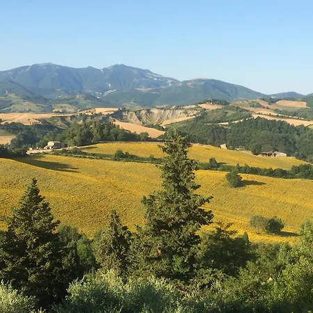 Poetic Glass House In The Countryside